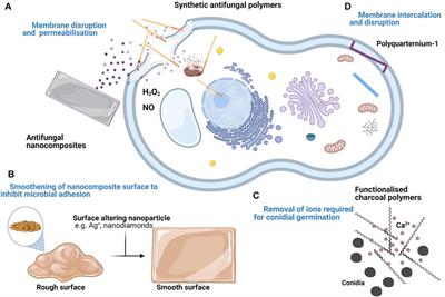 Antifungal Polymeric Materials and Nanocomposites